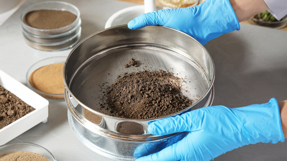 Unlocking the Power of Liposomal Technology: The Future of Nutrient Absorption