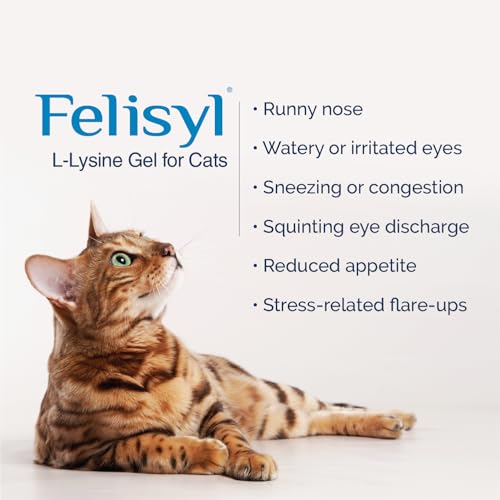 L-Lysine Gel for Cats & Kittens – Immune & Respiratory Support 5oz