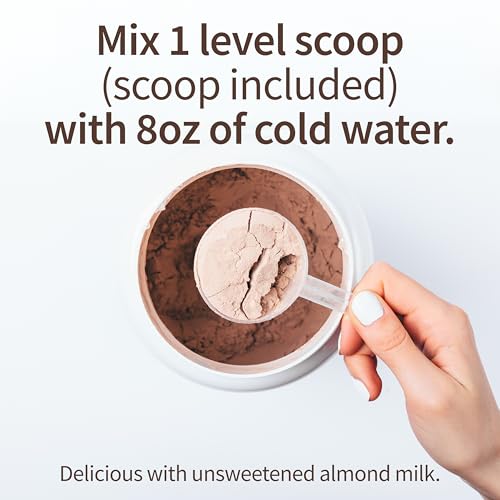 Plant-Based Organic Chocolate Meal Replacement Powder