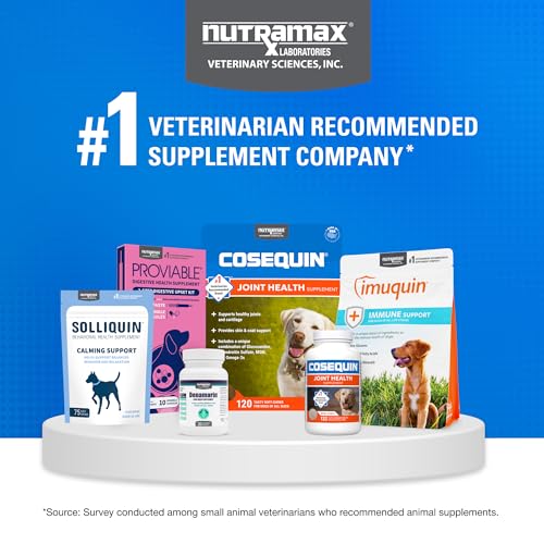Joint Soft Chews for Dogs – Glucosamine, Chondroitin & MSM 120ct