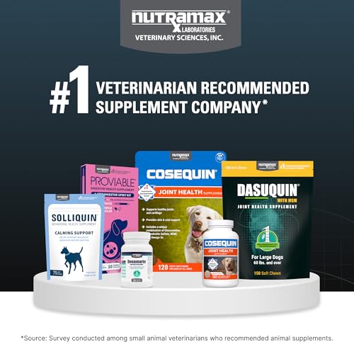 Joint Soft Chews for Small-Medium Dogs – Glucosamine & MSM 84ct