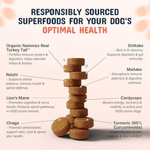 Turkey Tail Mushroom Chews for Dogs – Immunity & Joint Support 120ct