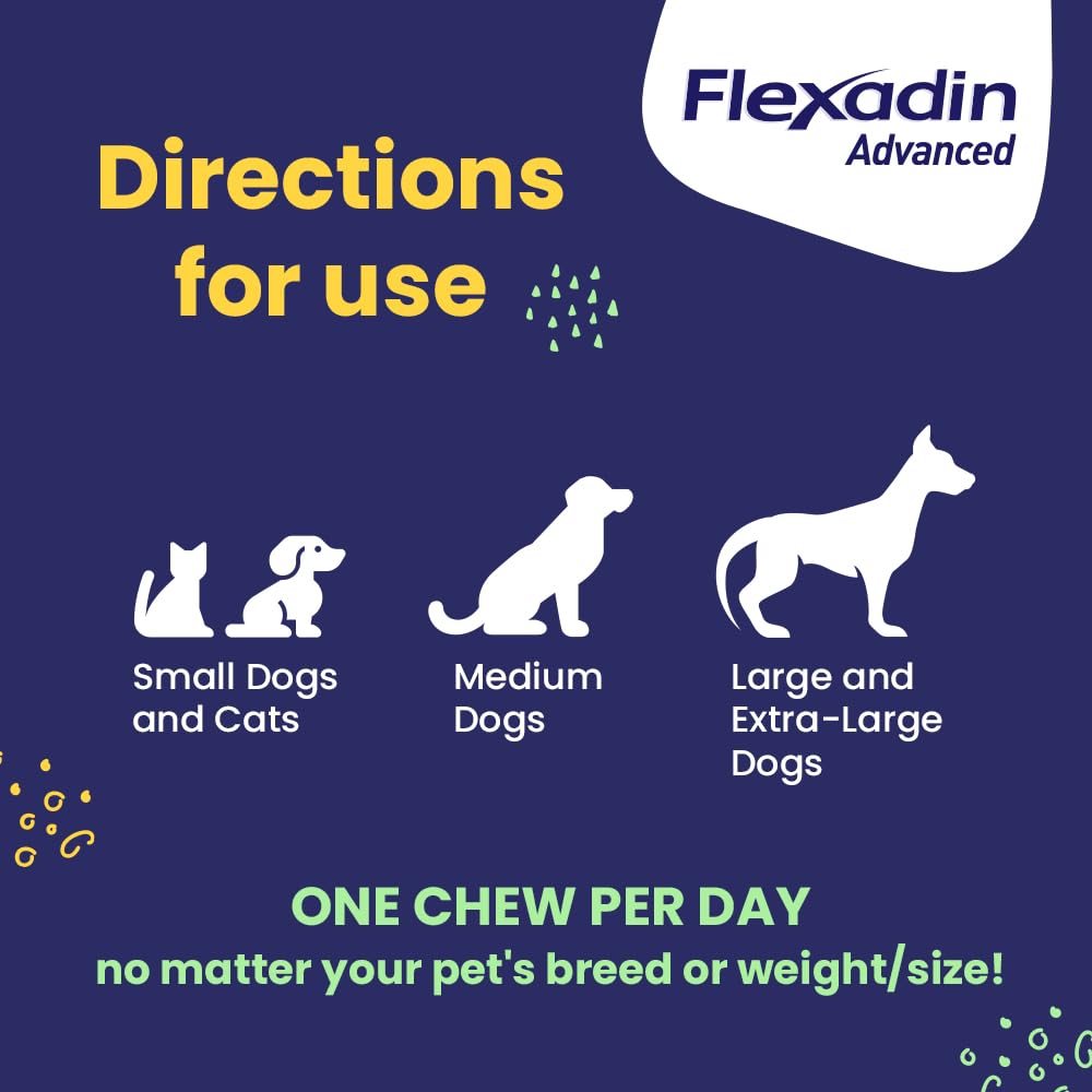 Hip & Joint Collagen Chews for Dogs & Cats – 60ct