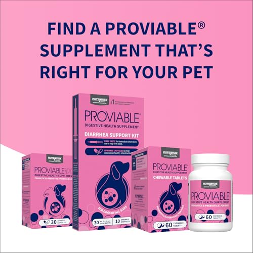 Multi-Strain Probiotic Chewable Tablets for Dogs – 60ct