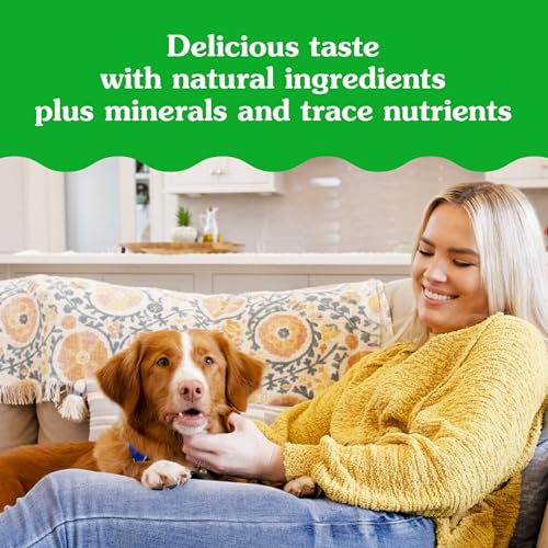 Pill Pocket Dog Treats for Capsules – Peanut Butter Large 15.8oz