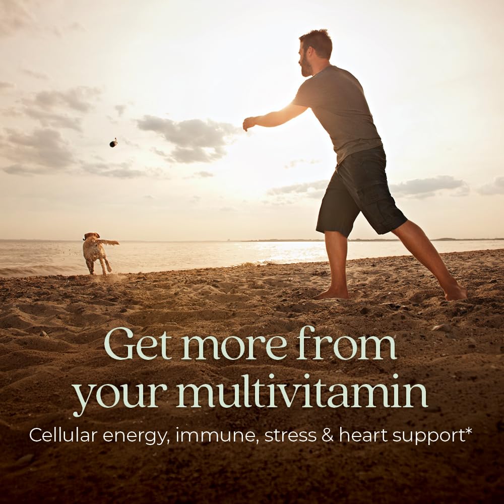 Men's Daily Multivitamin | B12, D3, Vitamin C & Zinc