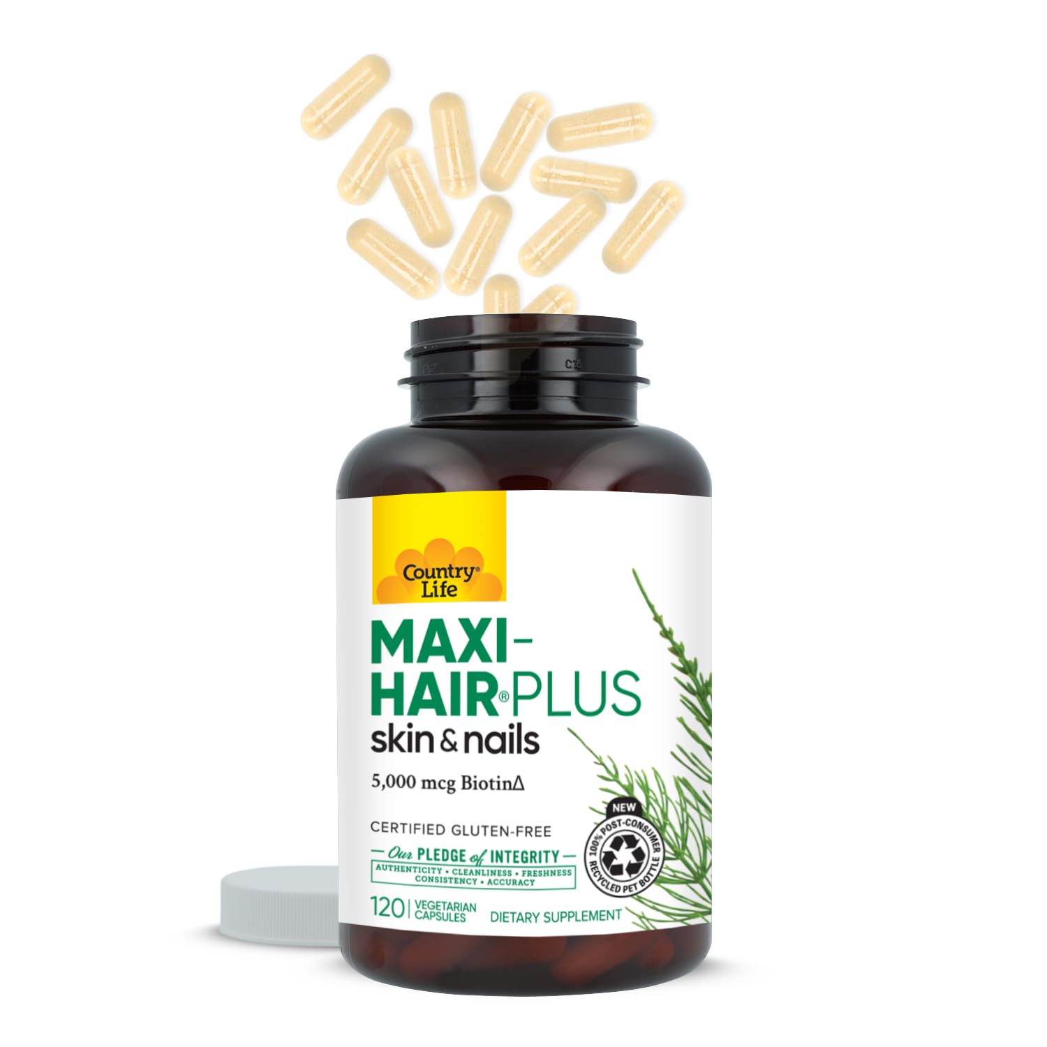 Hair Skin Nails Vitamins Biotin 120 Count
