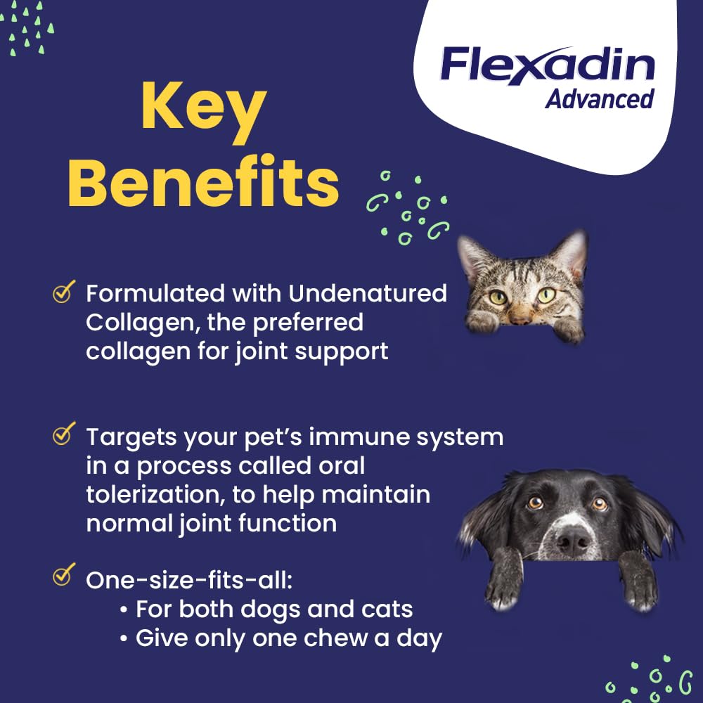 Hip & Joint Collagen Chews for Dogs & Cats – 60ct