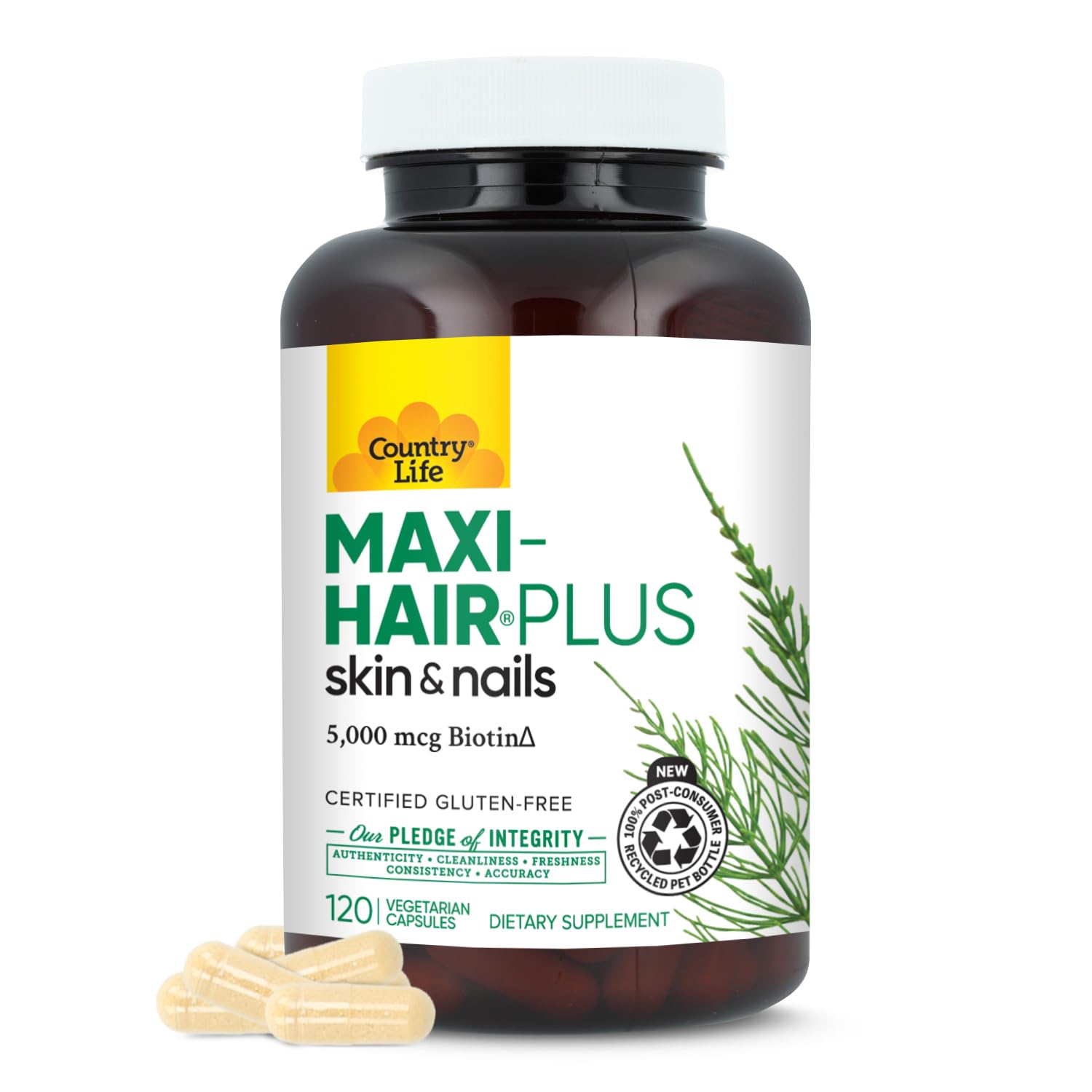 Hair Skin Nails Vitamins Biotin 120 Count