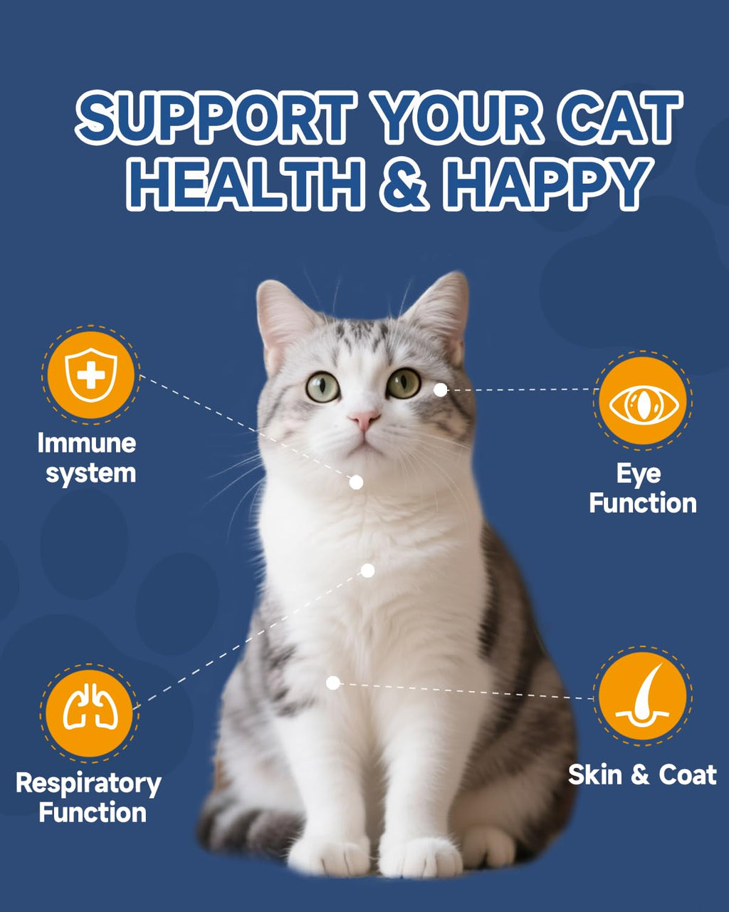 L-Lysine Immune & Respiratory Powder for Cats – Chicken Flavor