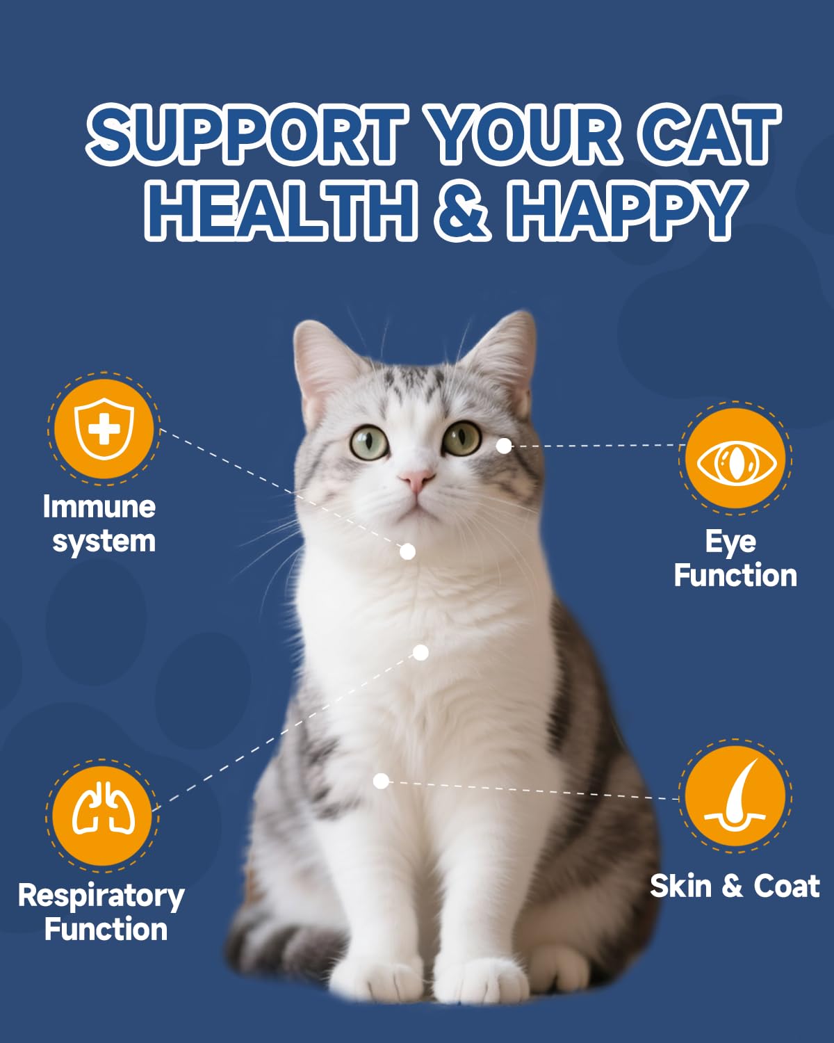 L-Lysine Immune & Respiratory Powder for Cats – Chicken Flavor
