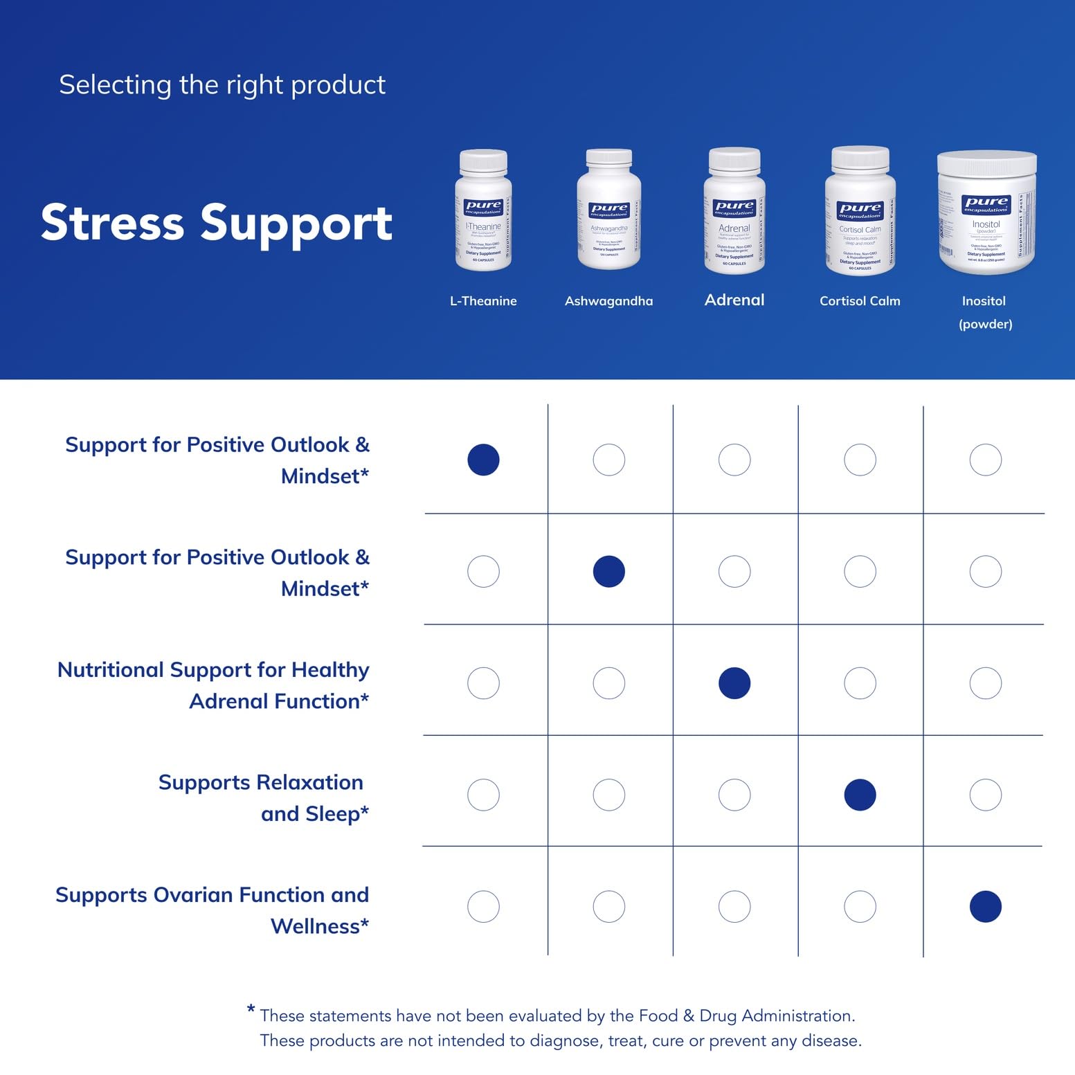 L-Theanine Capsules – Stress & Relaxation Support, 60 Caps