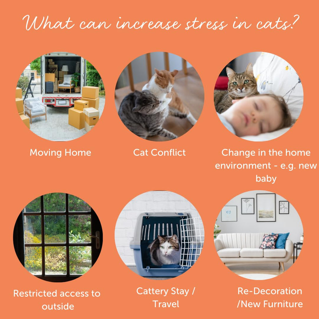 Urinary Tract Support Tablets for Cats – 30ct