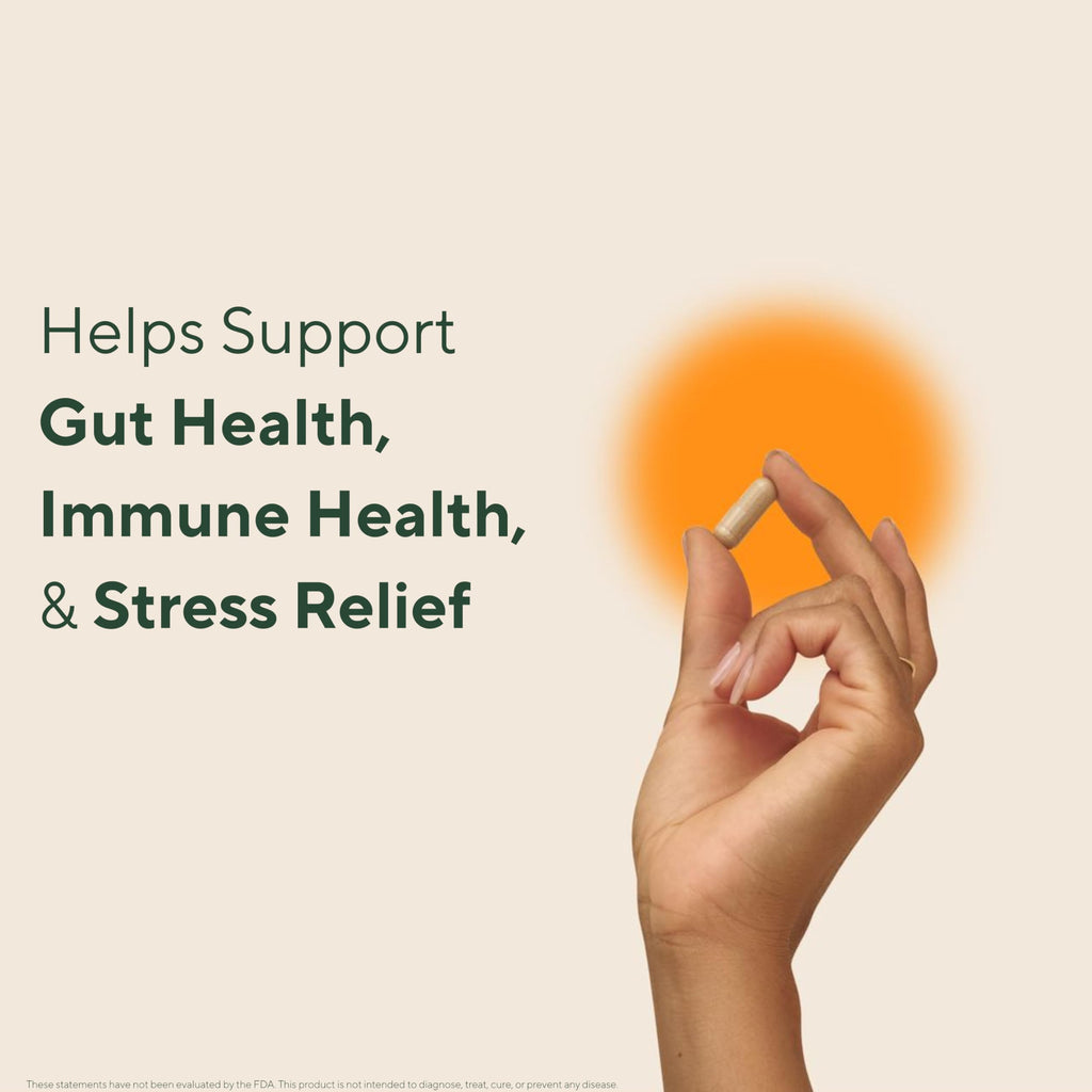 10 Mushroom Blend Capsules with Ashwagandha – Immune & Stress Support, 168 Ct