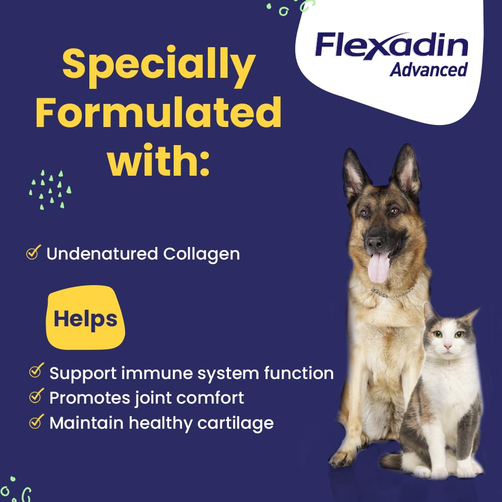 Hip & Joint Collagen Chews for Dogs & Cats – 60ct