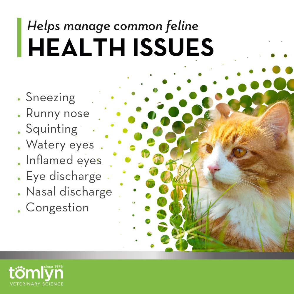 L-Lysine Immune Support Powder for Cats & Kittens – Fish Flavor 3.5oz