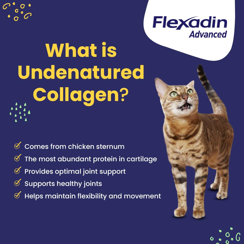 Hip & Joint Collagen Chews for Dogs & Cats – 60ct
