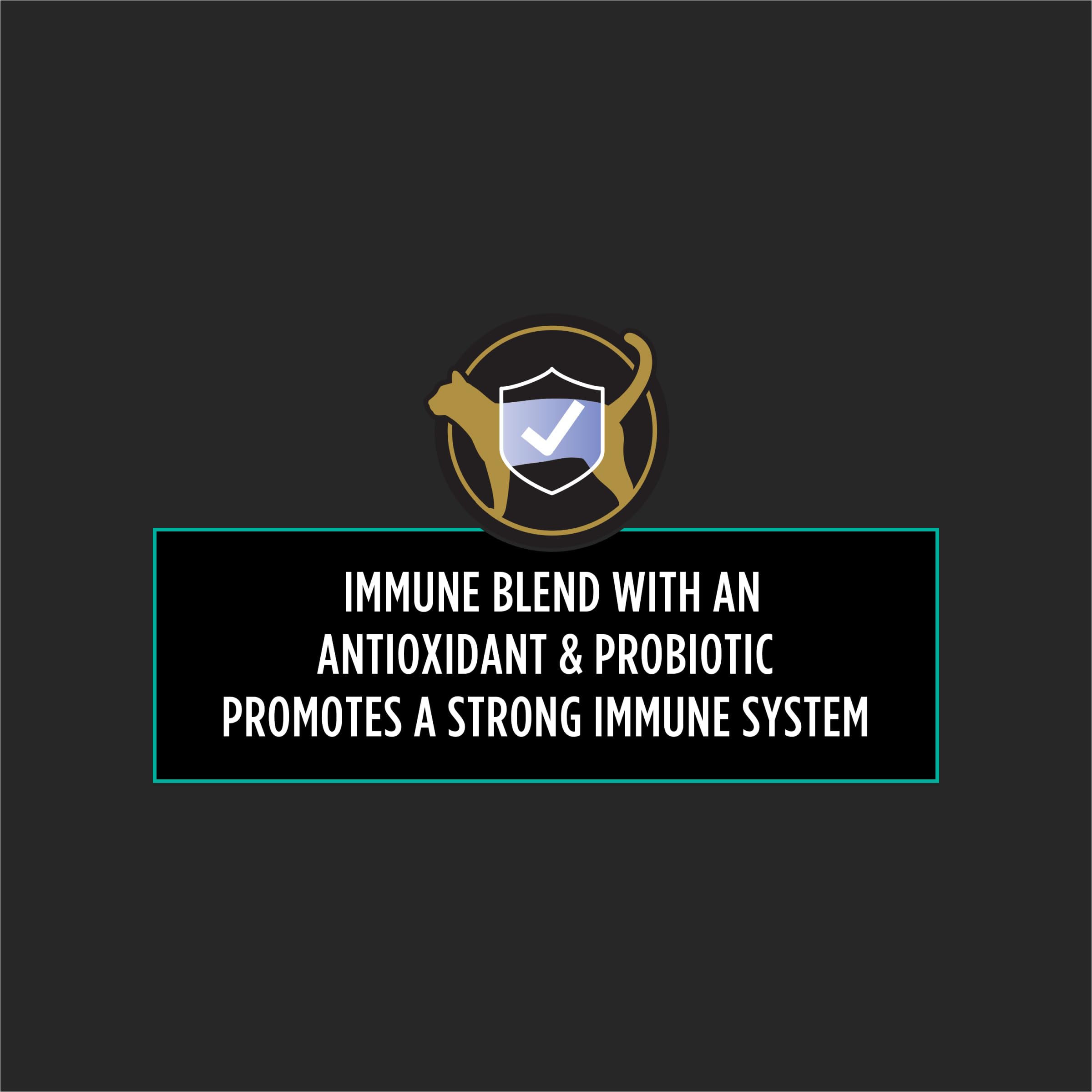 Daily Probiotic & Immune Support Supplement for Cats – 30ct