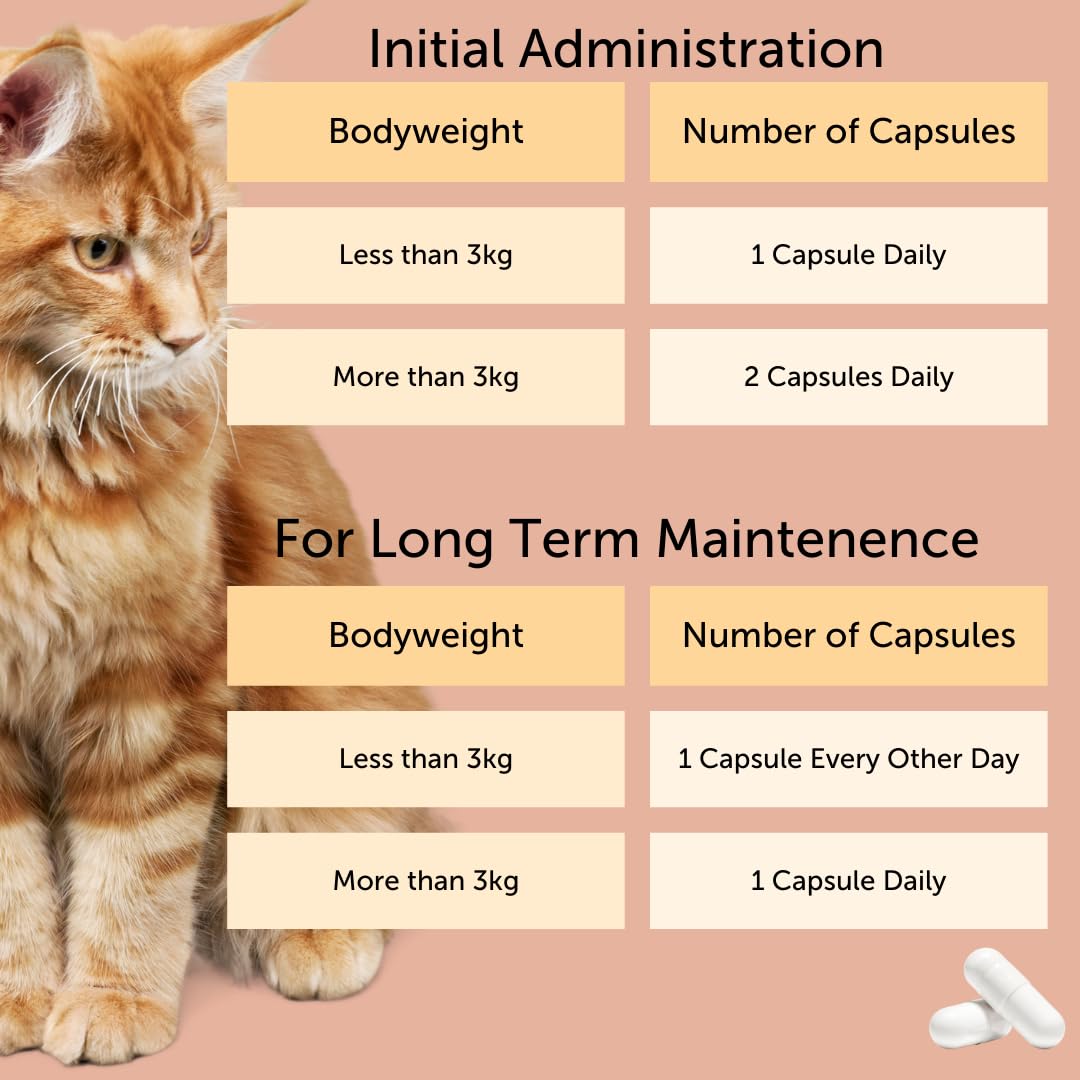 Urinary Tract Support Tablets for Cats – 30ct