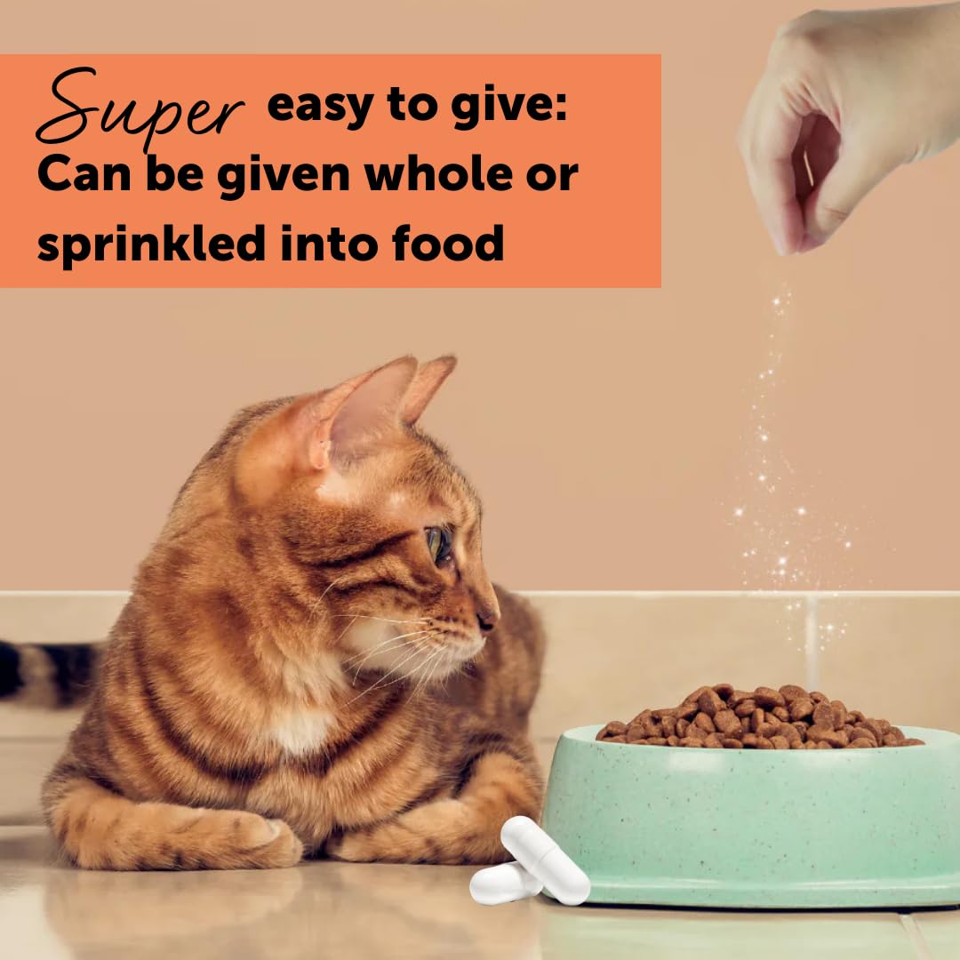 Urinary Tract Support Tablets for Cats – 30ct