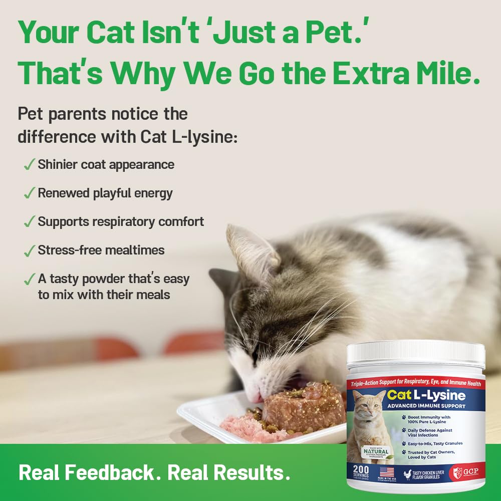 L-Lysine Immune Support Powder for Cats – Chicken Liver 200 Servings