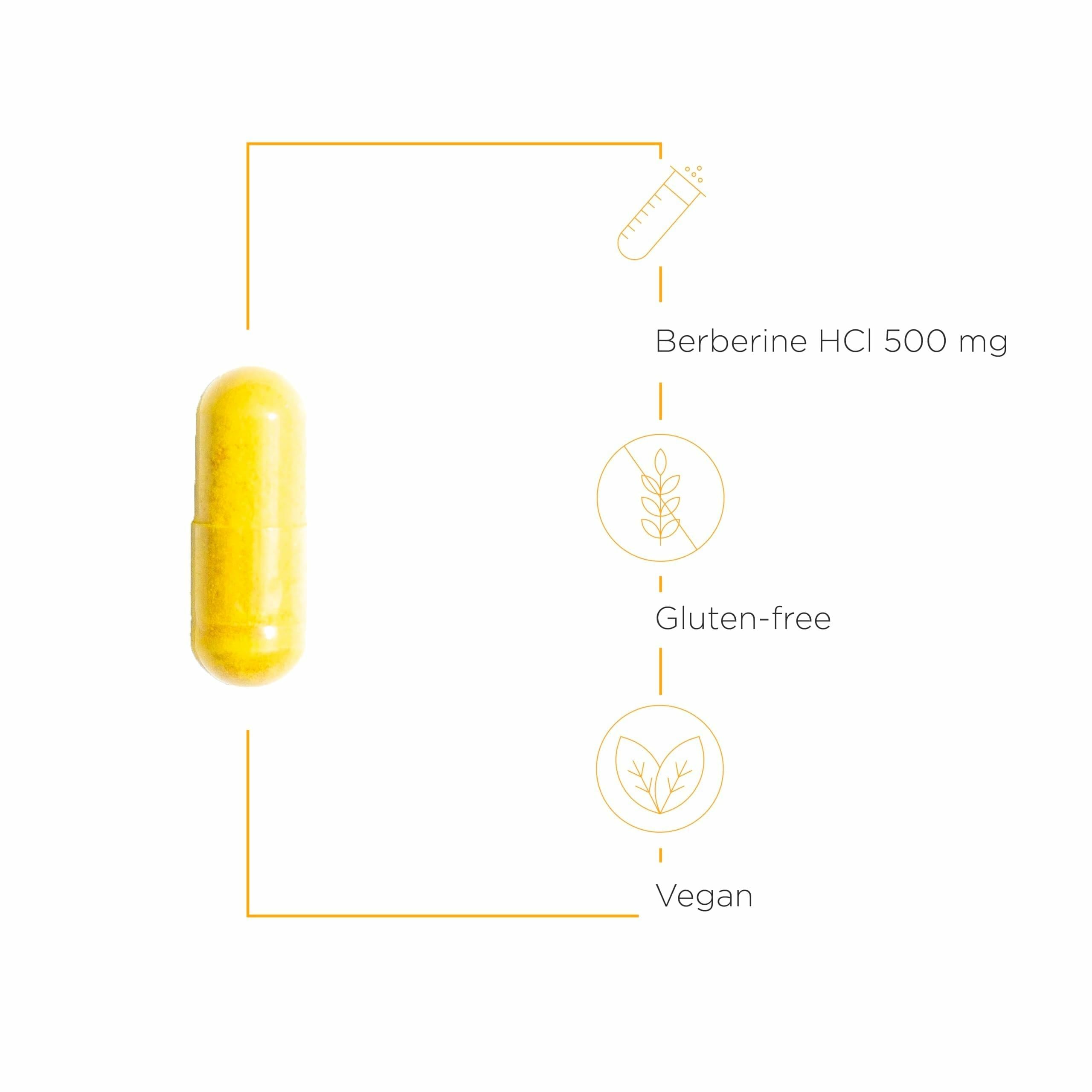 Berberine Supplement – Metabolic & Energy Support, 60 Capsules
