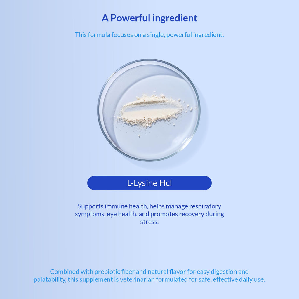 L-Lysine Powder for Cats – Immune & Respiratory Support 900mg