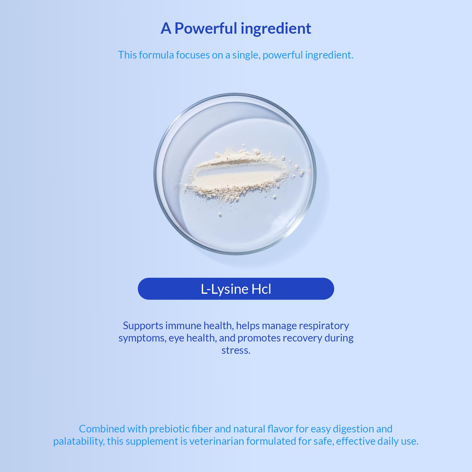 L-Lysine Powder for Cats – Immune & Respiratory Support 900mg
