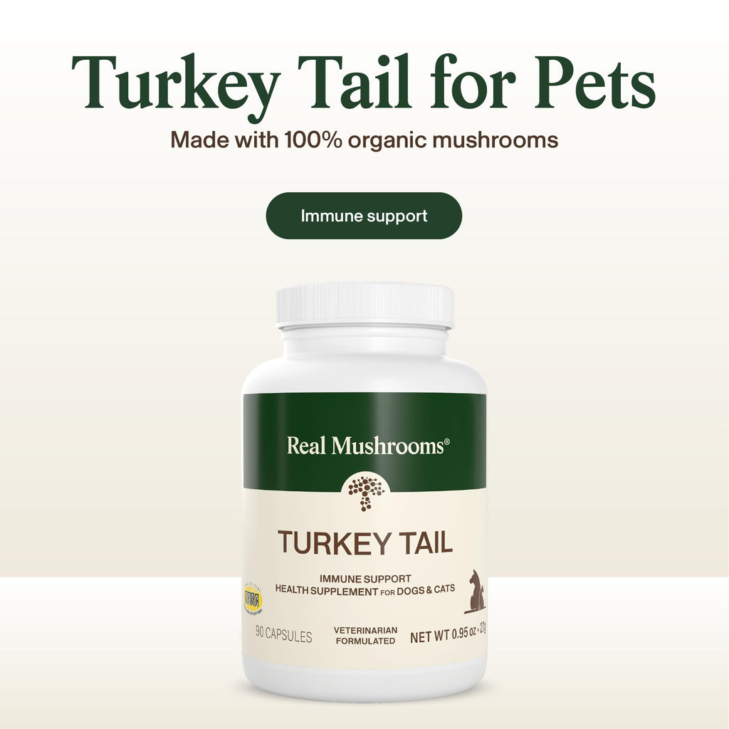 Organic Turkey Tail Mushroom Capsules for Dogs & Cats – 90ct