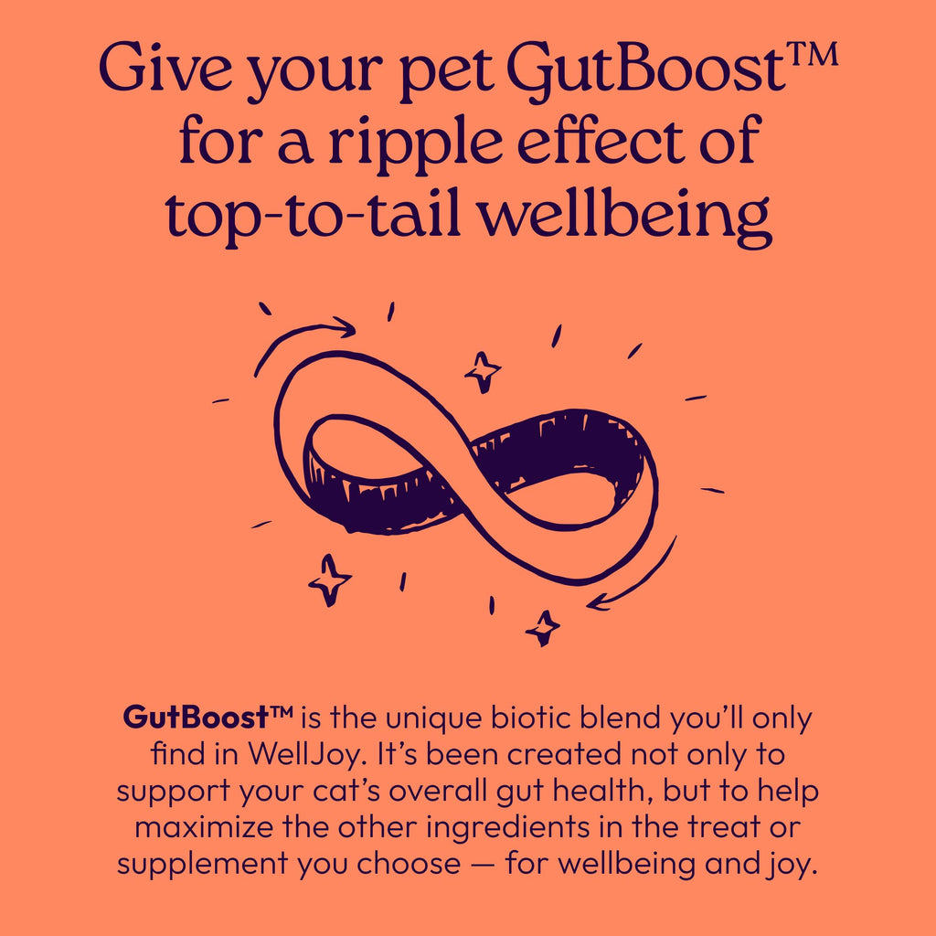 Skin, Coat & Gut Support Soft Chews for Cats – Chicken 120ct