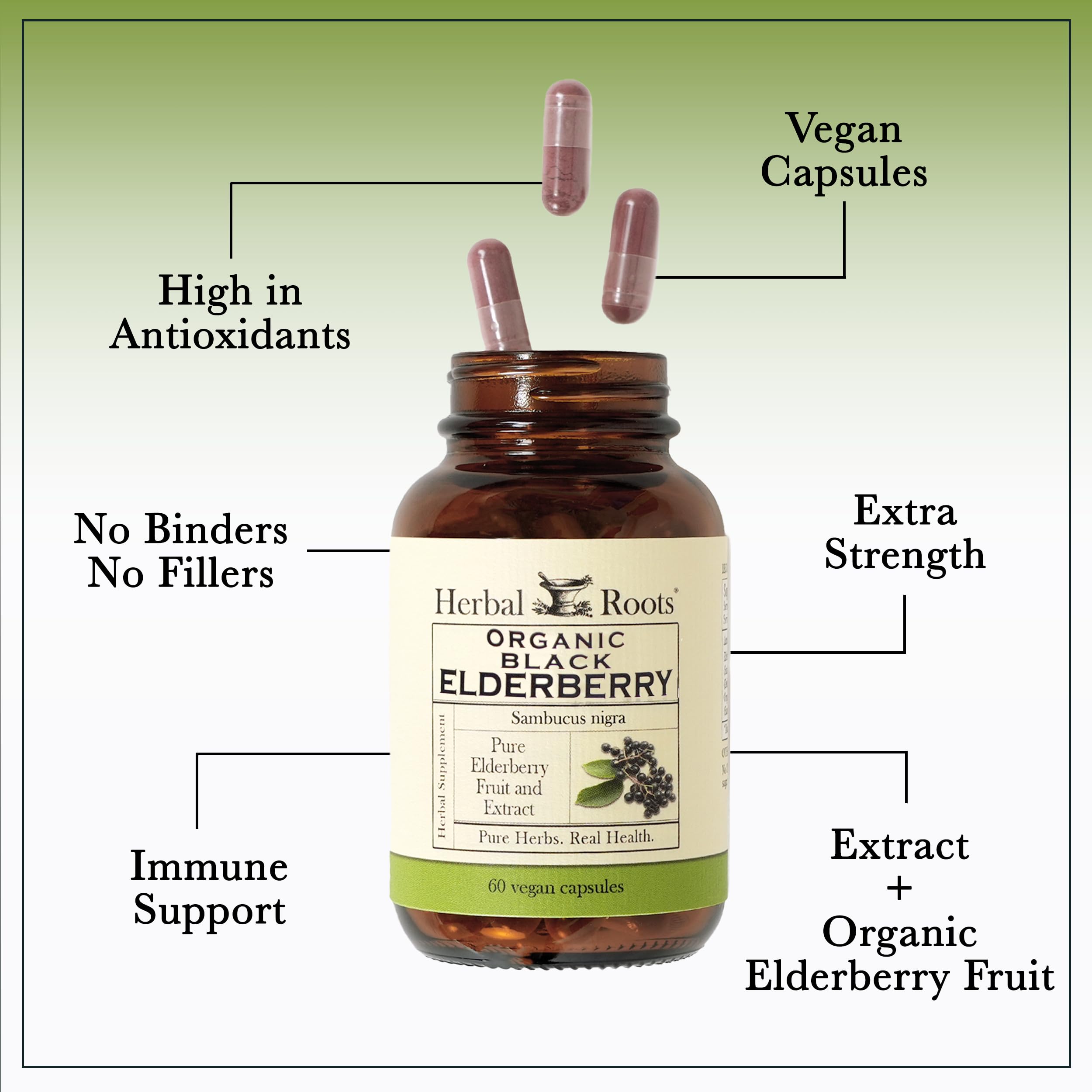 Organic Black Elderberry Capsules for Immune Support Vegan 60 Ct