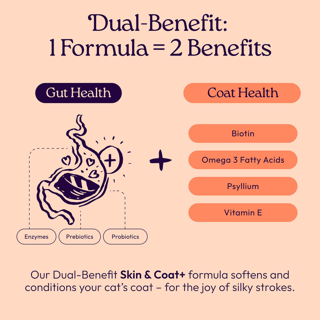 Skin, Coat & Gut Support Soft Chews for Cats – Chicken 120ct