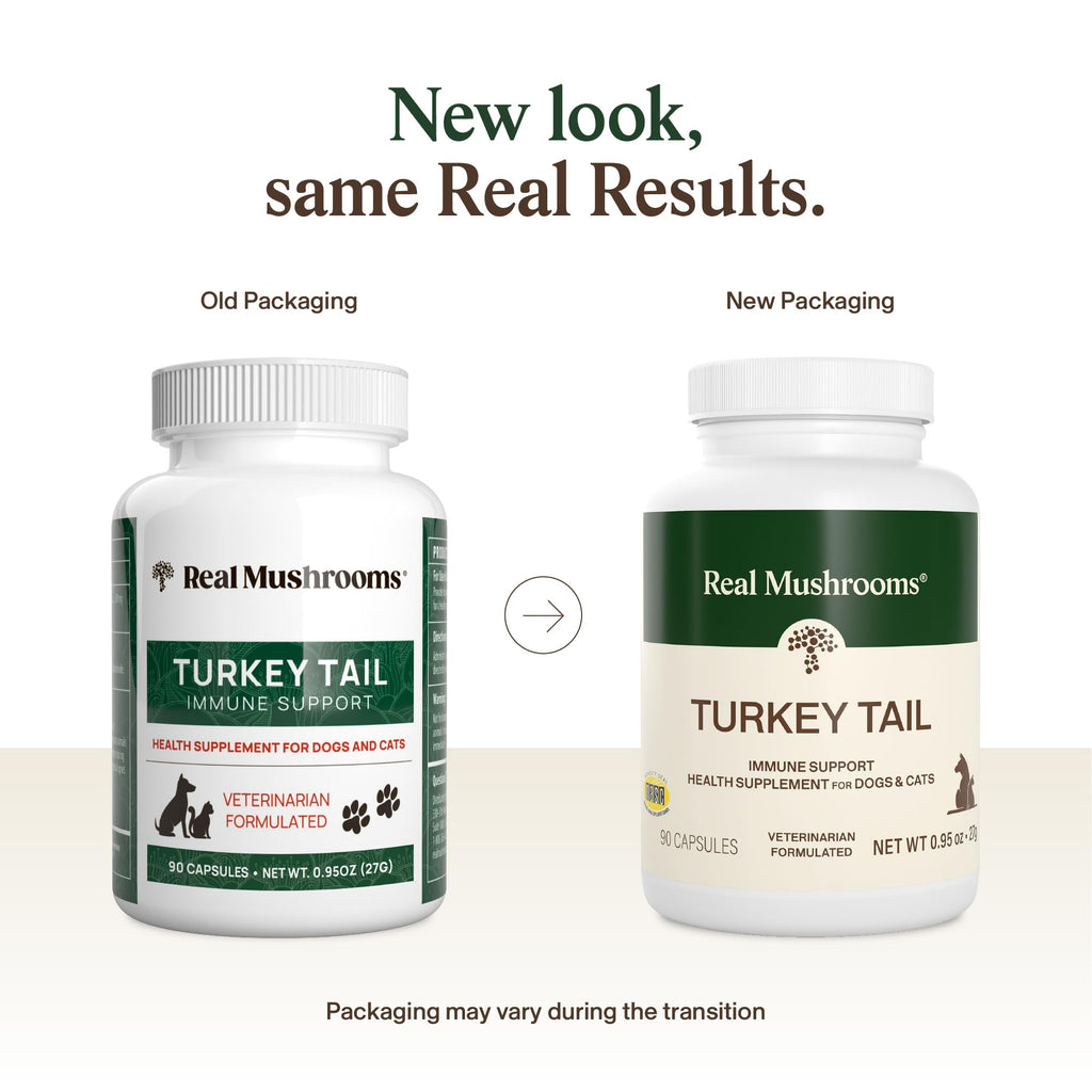 Organic Turkey Tail Mushroom Capsules for Dogs & Cats – 90ct