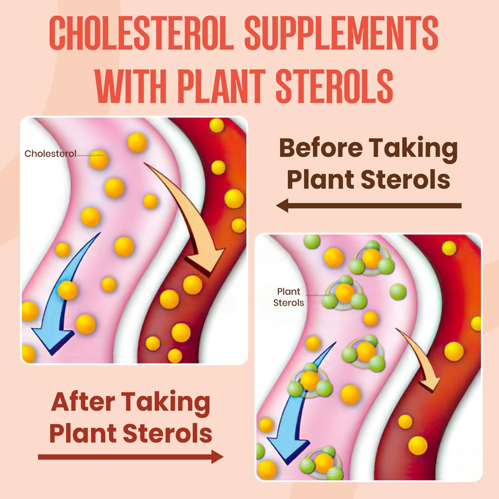 Cholesterol Support Gummies with Plant Sterols & Bergamot for Heart Health 60 Ct