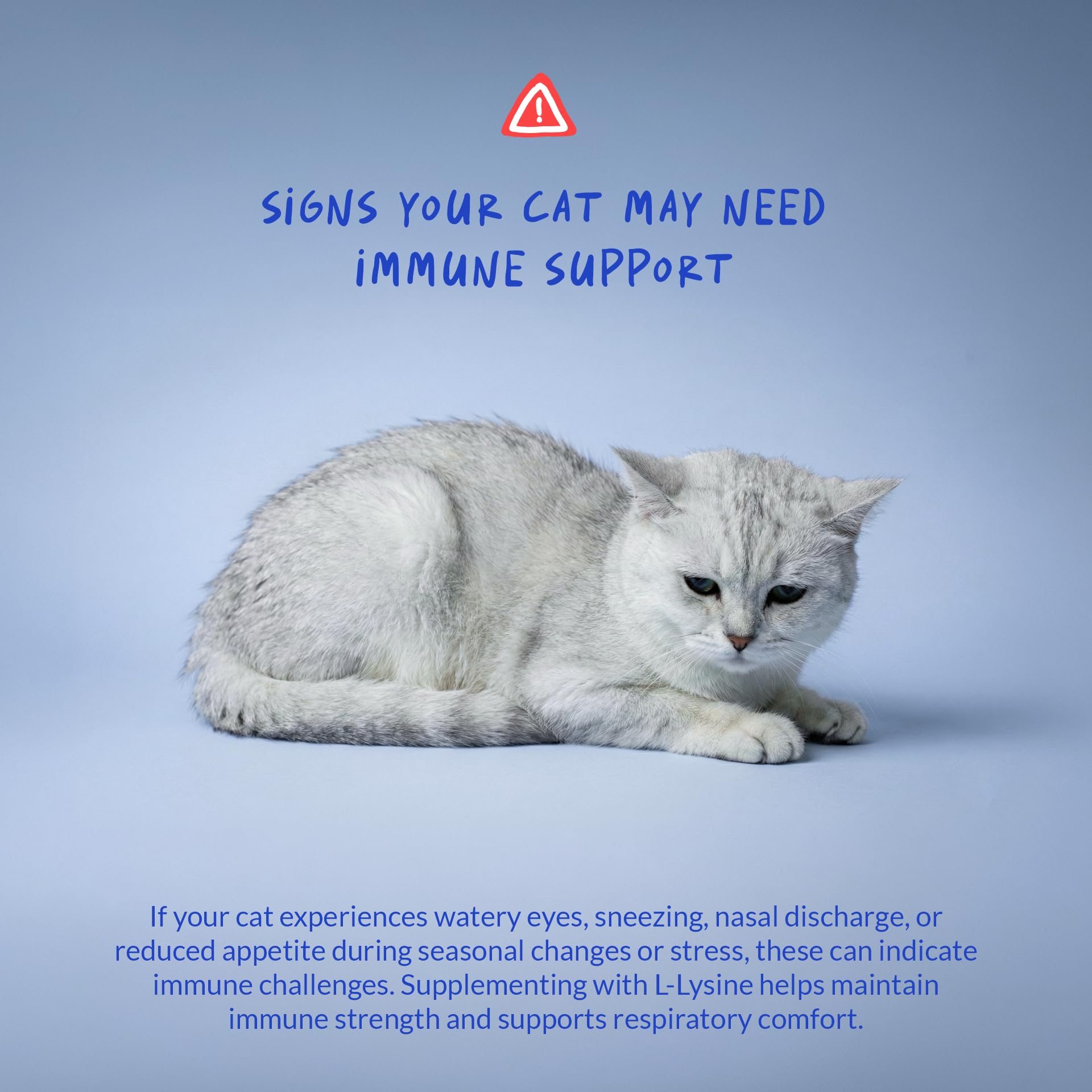 L-Lysine Powder for Cats – Immune & Respiratory Support 900mg
