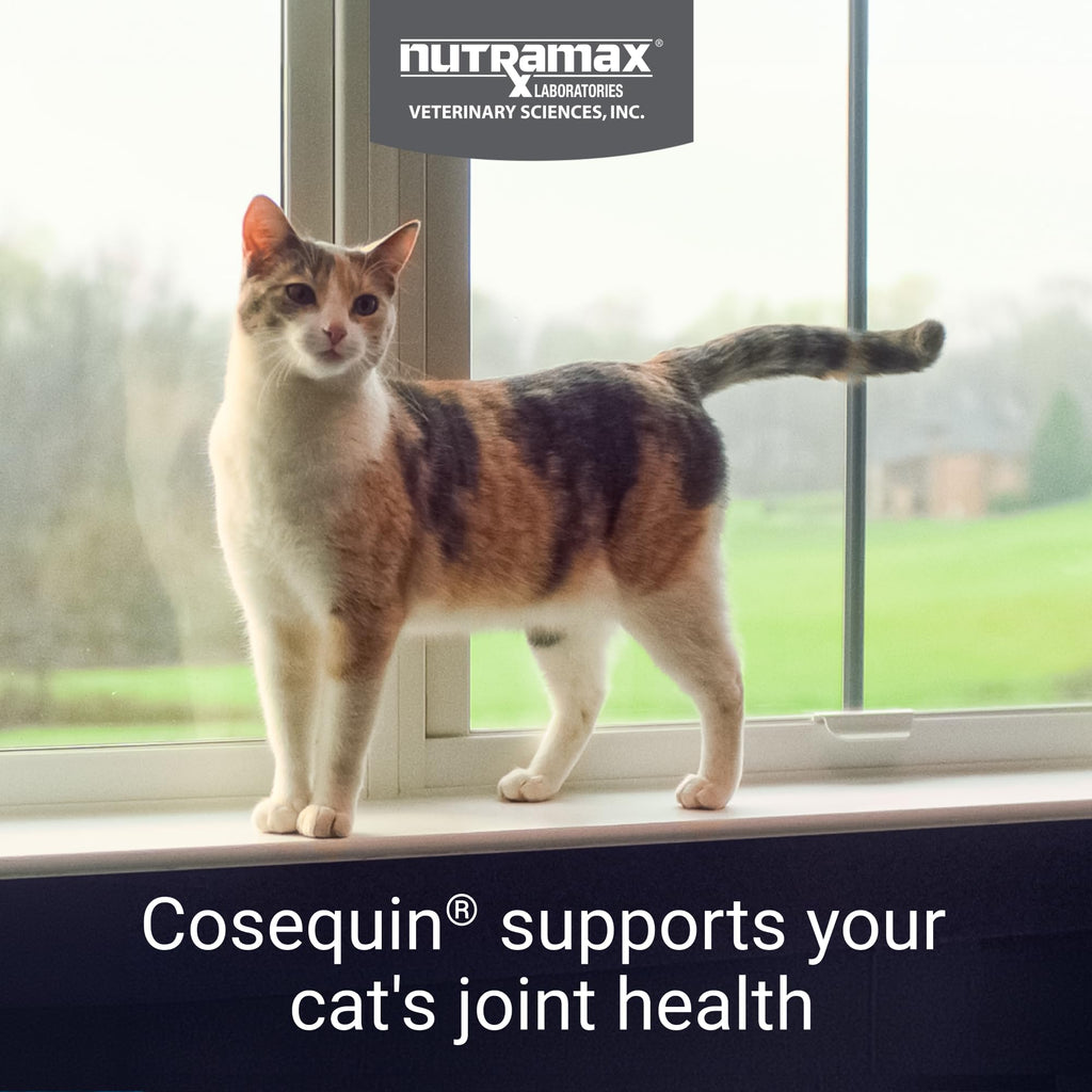 Joint Sprinkle Capsules for Cats – Glucosamine, Chondroitin & Omega-3 80ct