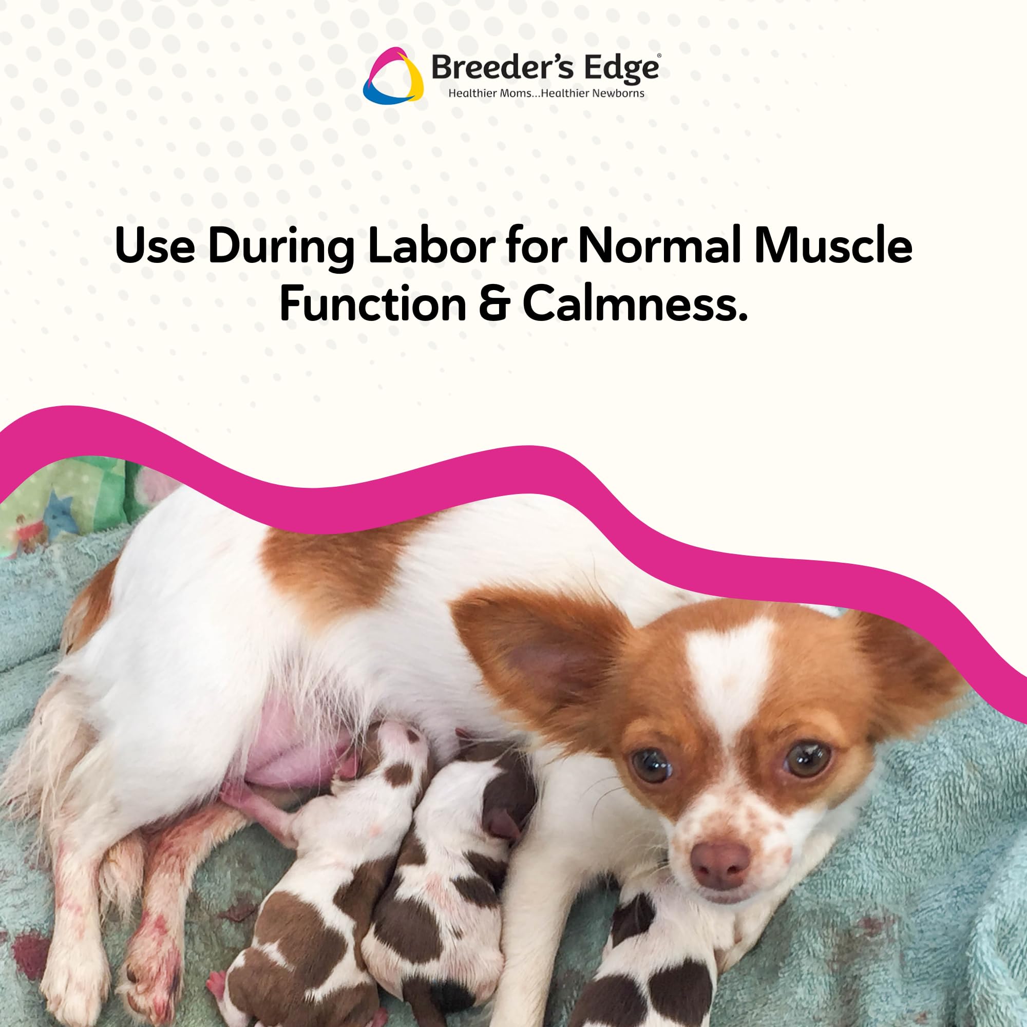 Whelping Calcium Supplement Gel for Dogs & Cats – 30ml