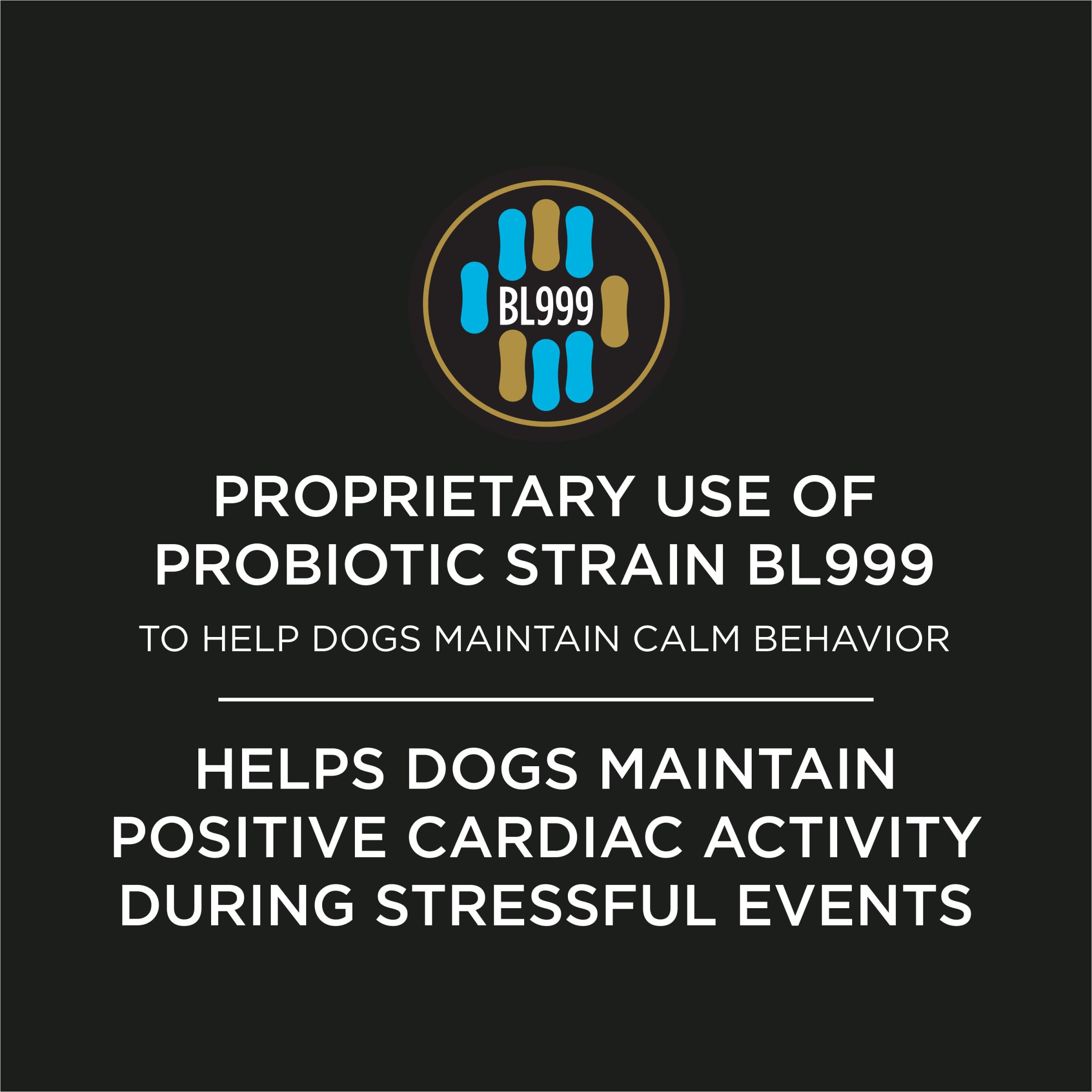Calming Probiotic Supplement Chews for Dogs – 30ct