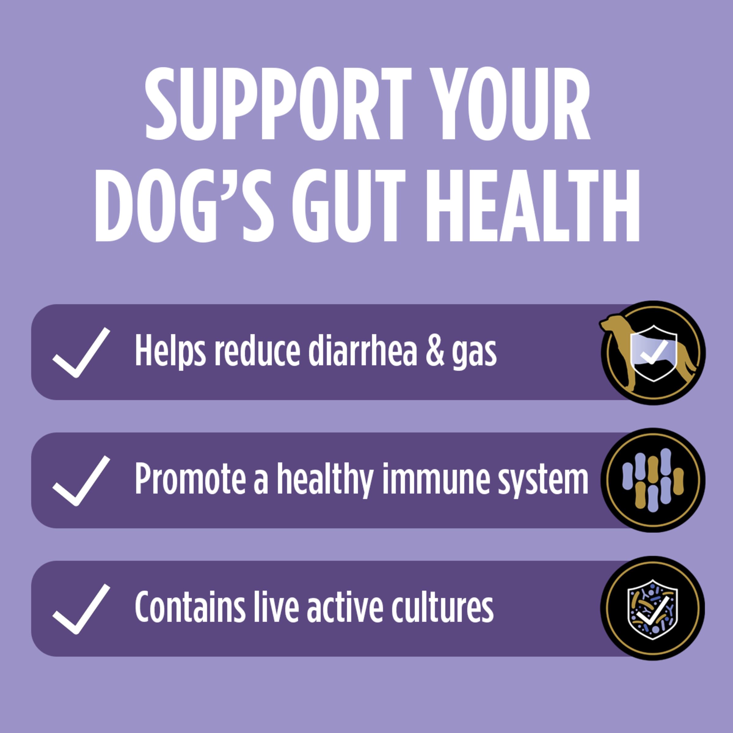 Daily Probiotic Supplement for Dogs – Digestive & Gut Health 30ct