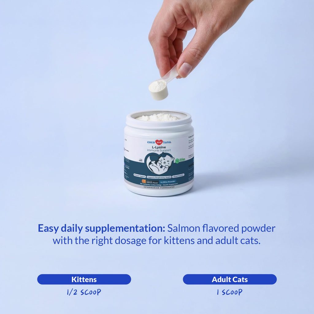 L-Lysine Powder for Cats – Immune & Respiratory Support 900mg