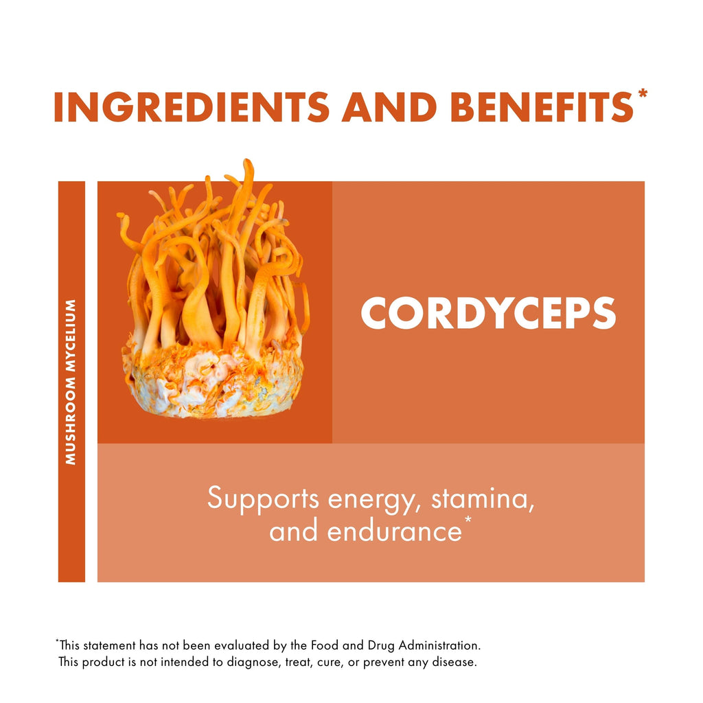 Cordyceps Capsules for Energy & Immune Support – 120 Count