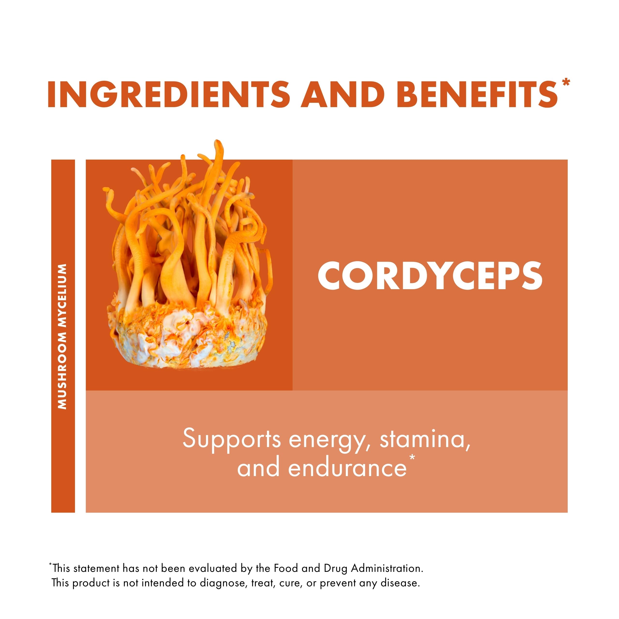 Cordyceps Capsules for Energy & Immune Support – 120 Count