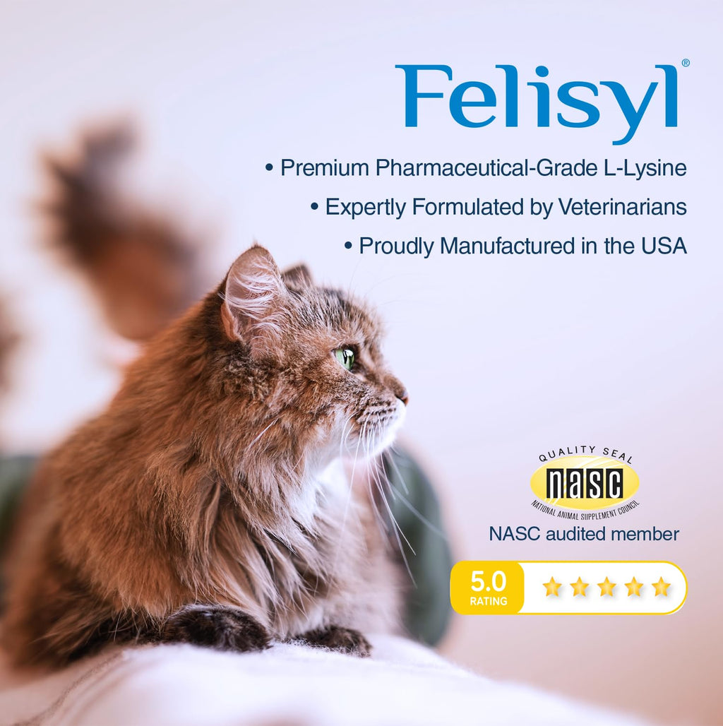 L-Lysine Gel for Cats & Kittens – Immune & Respiratory Support 5oz
