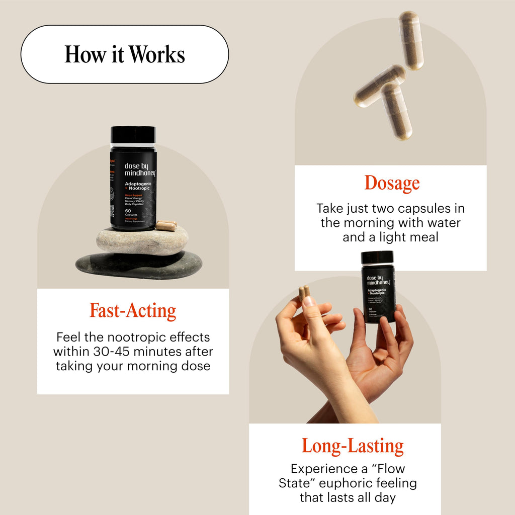 Nootropic Brain Supplement with Lion’s Mane for Focus, Mood & Memory Support