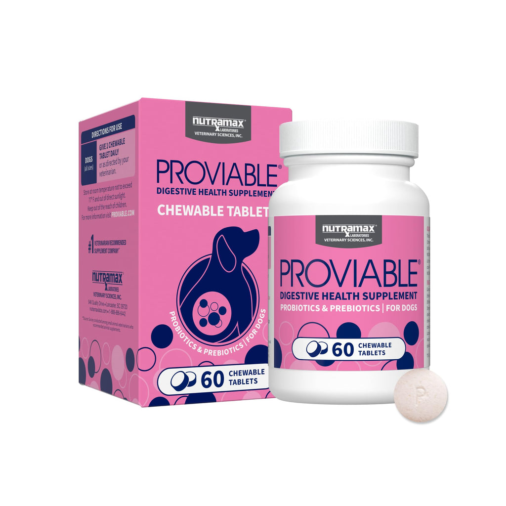 Multi-Strain Probiotic Chewable Tablets for Dogs – 60ct