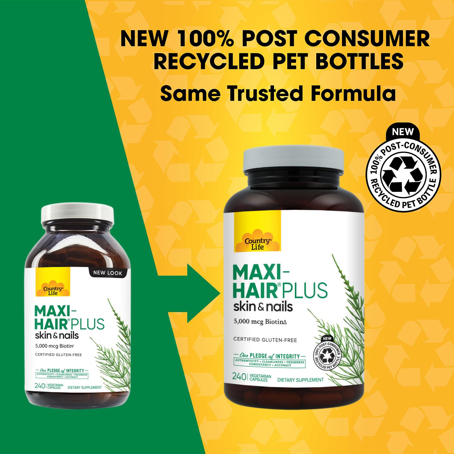 Hair Skin Nails Vitamins with Biotin 240 Count