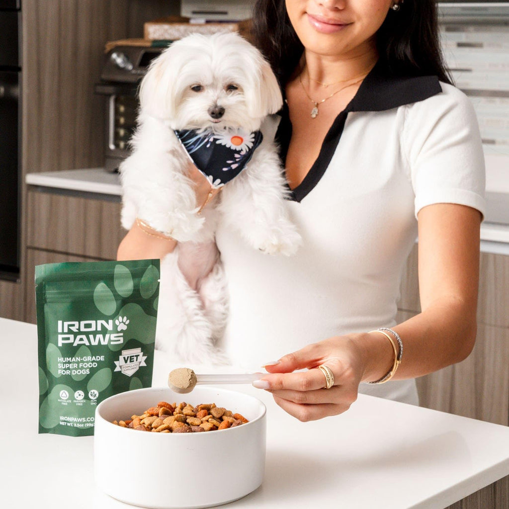 Superfood Greens Powder for Dogs – Gut, Joint & Immune Support 3.5oz