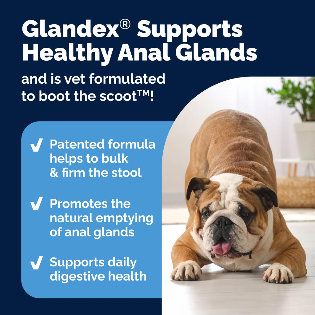 Anal Gland Support Soft Chews for Dogs – Pumpkin & Probiotics 60ct