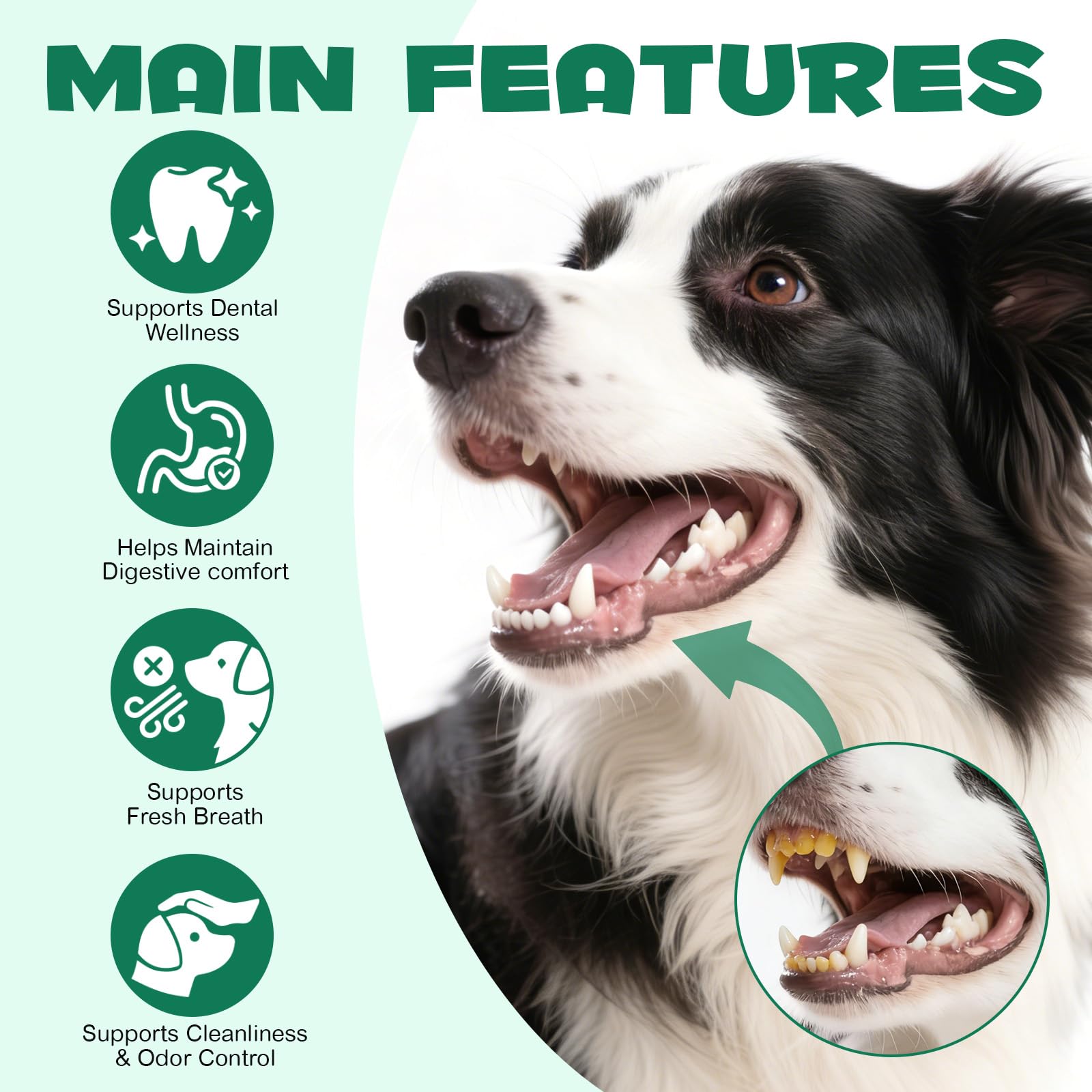 Activated Charcoal Powder for Dogs & Cats – Digestive Support 120g