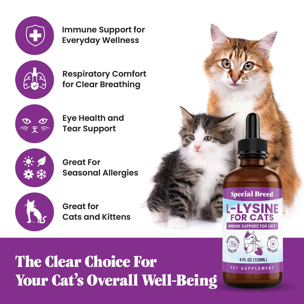 L-Lysine Liquid Drops for Cats & Kittens – Immune & Respiratory 250mg